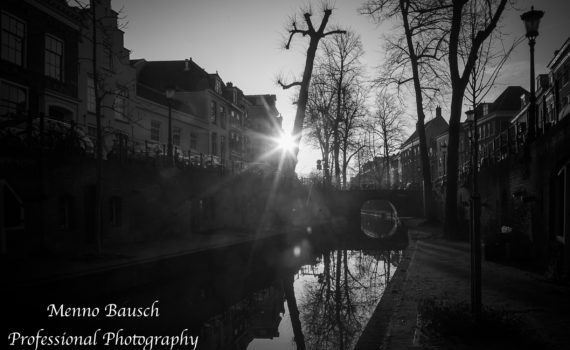 20161219-20161219-_mg_3675