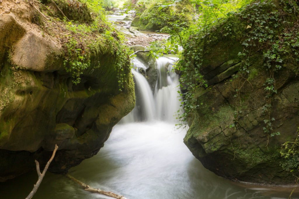 20160729-_MG_3429