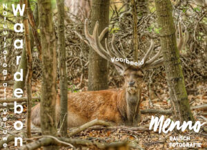 Workshop Natuurfotografie Veluwe