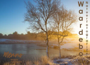 Waardebon Workshop Fotografie Zeist