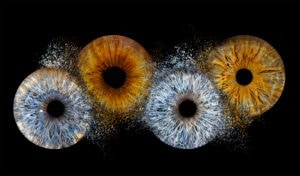 Iris fotografie Zeist