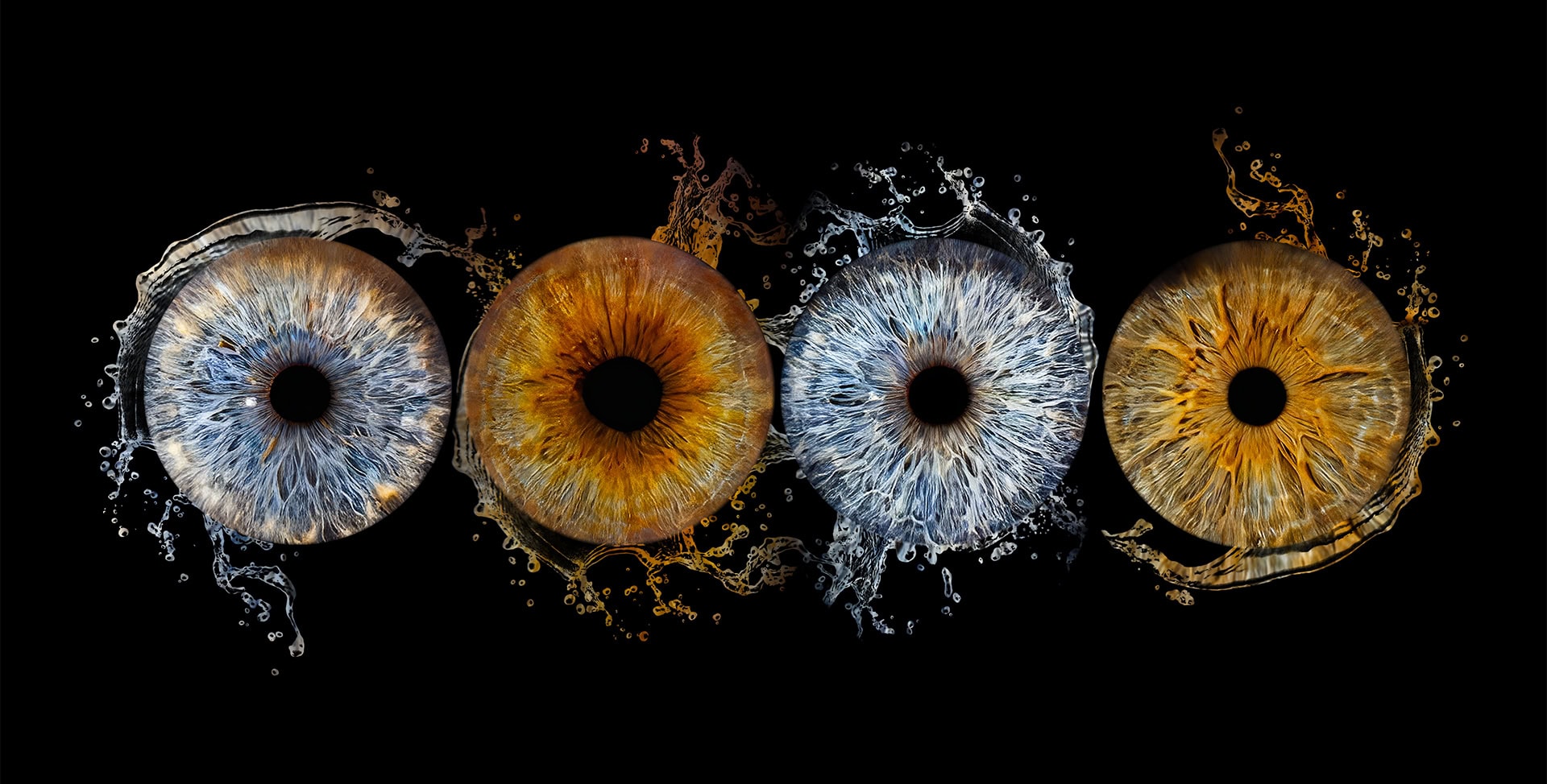 eye